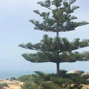 https://frontemare.sicilyhotelsitaly.net